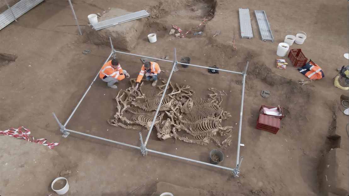 Two of the nine graves have been fully excavated so far.