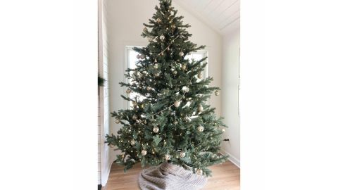 Fraser Hill Farm Foxtail Pine Christmas Tree, Various Sizing and Lighting Options