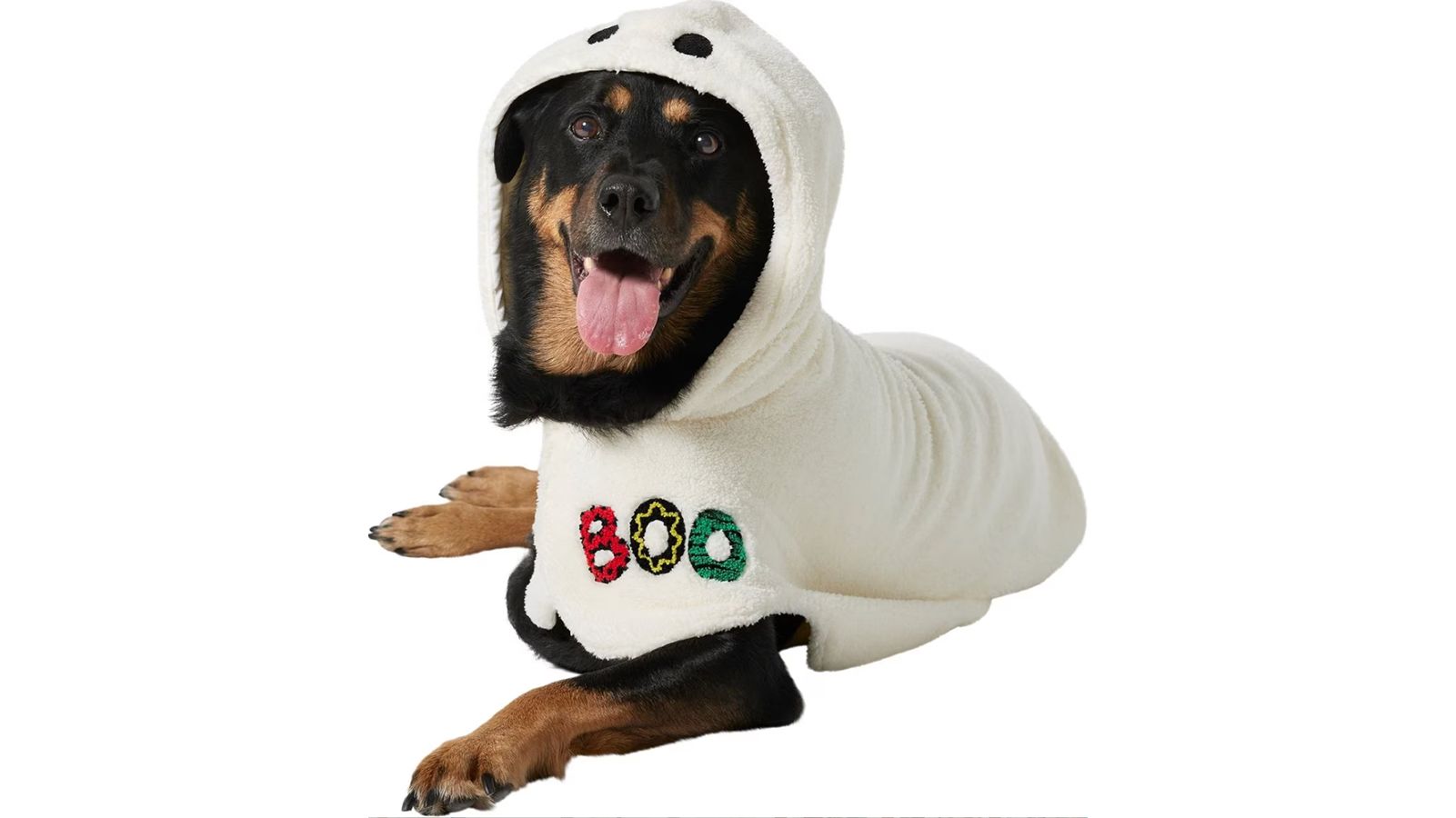 Boo Halloween Dog & Cat Baseball Cap - Pet Costume Center