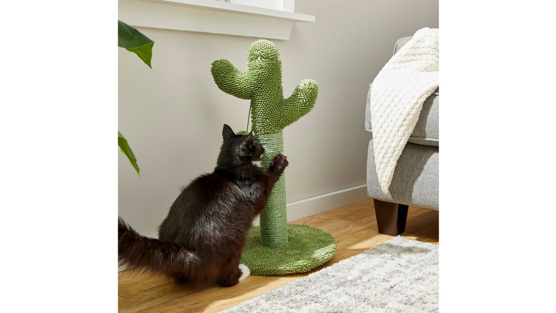 Frisco Cactus Cat Scratching Post