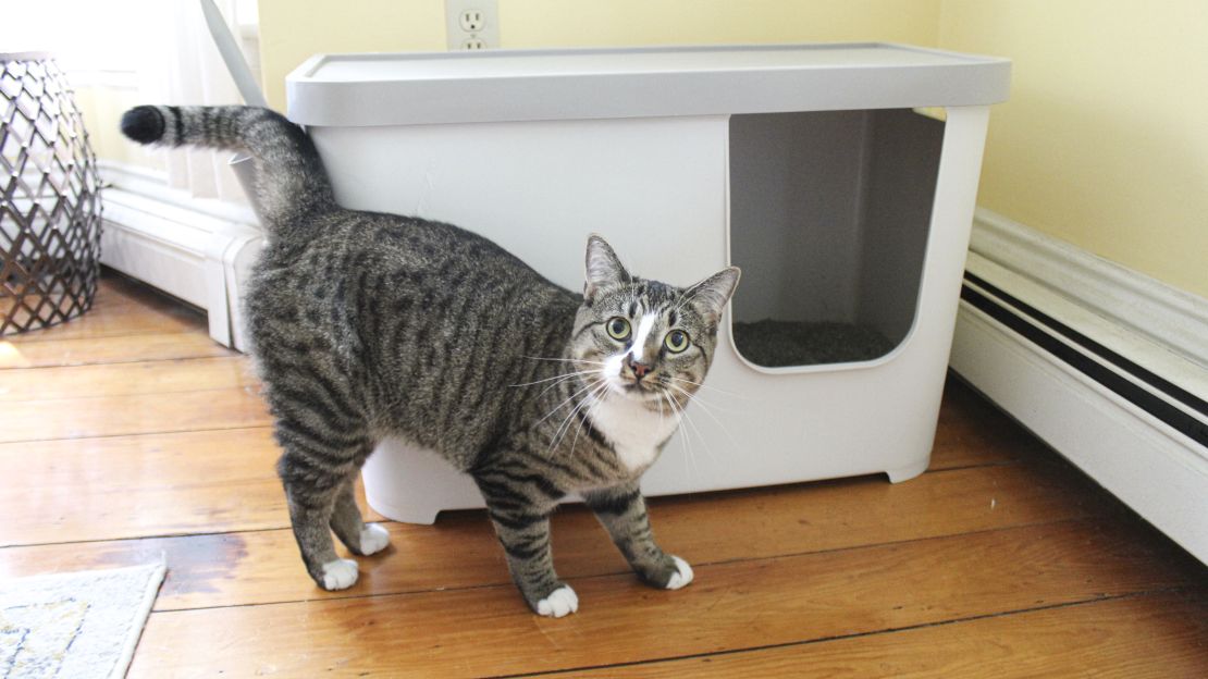 Frisco-Covered-Litter-Box-CNNU-4.jpg