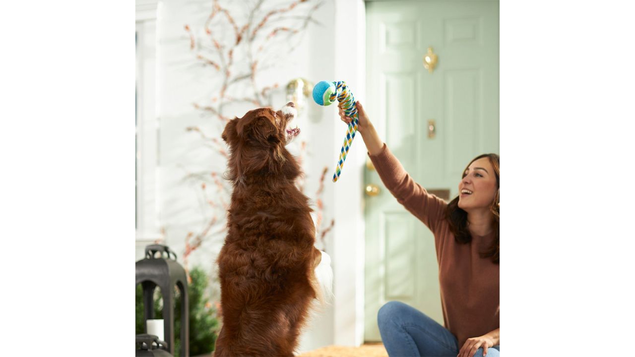 Frisco Handle Rope Tennis Ball Dog Toy