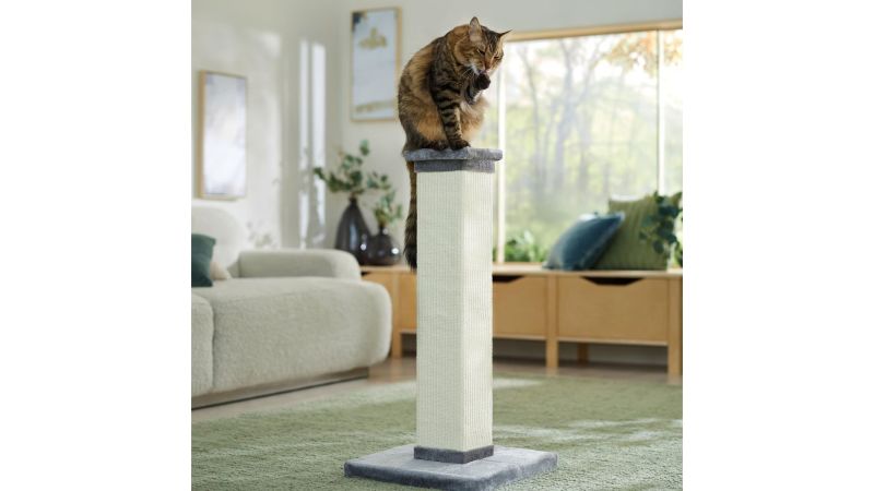 The best cat scratching posts in 2024 tried and tested CNN Underscored