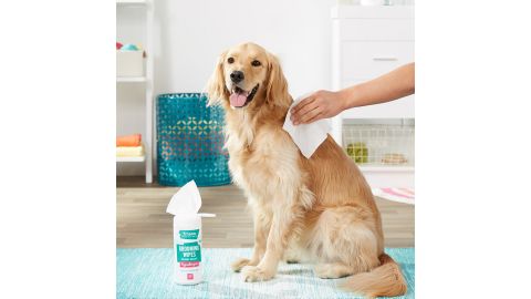 Frisco Hypoallergenic Wet Wipes with Aloe for Dogs and Cats