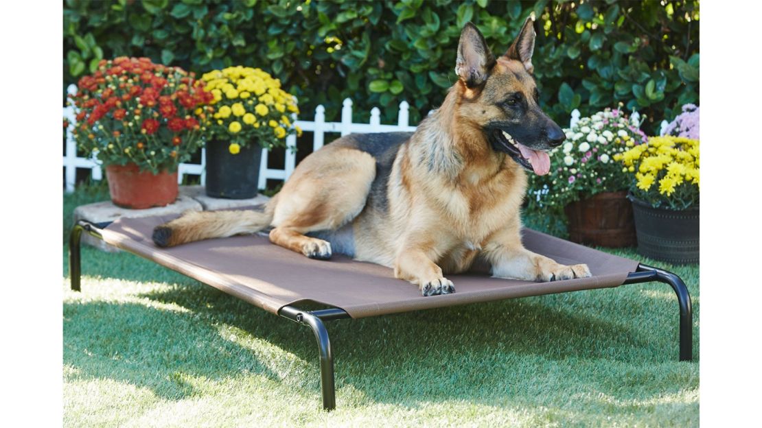 Frisco Steel-Framed Elevated Dog Bed