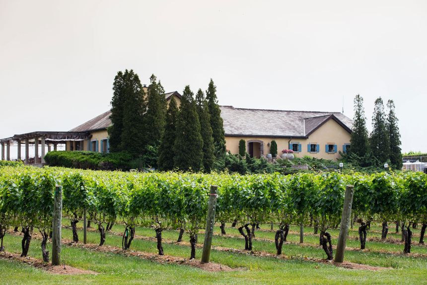 Wölffer Estate Vineyard in Long Island, New York, which currently imports wine from Germany, France, and Argentina.