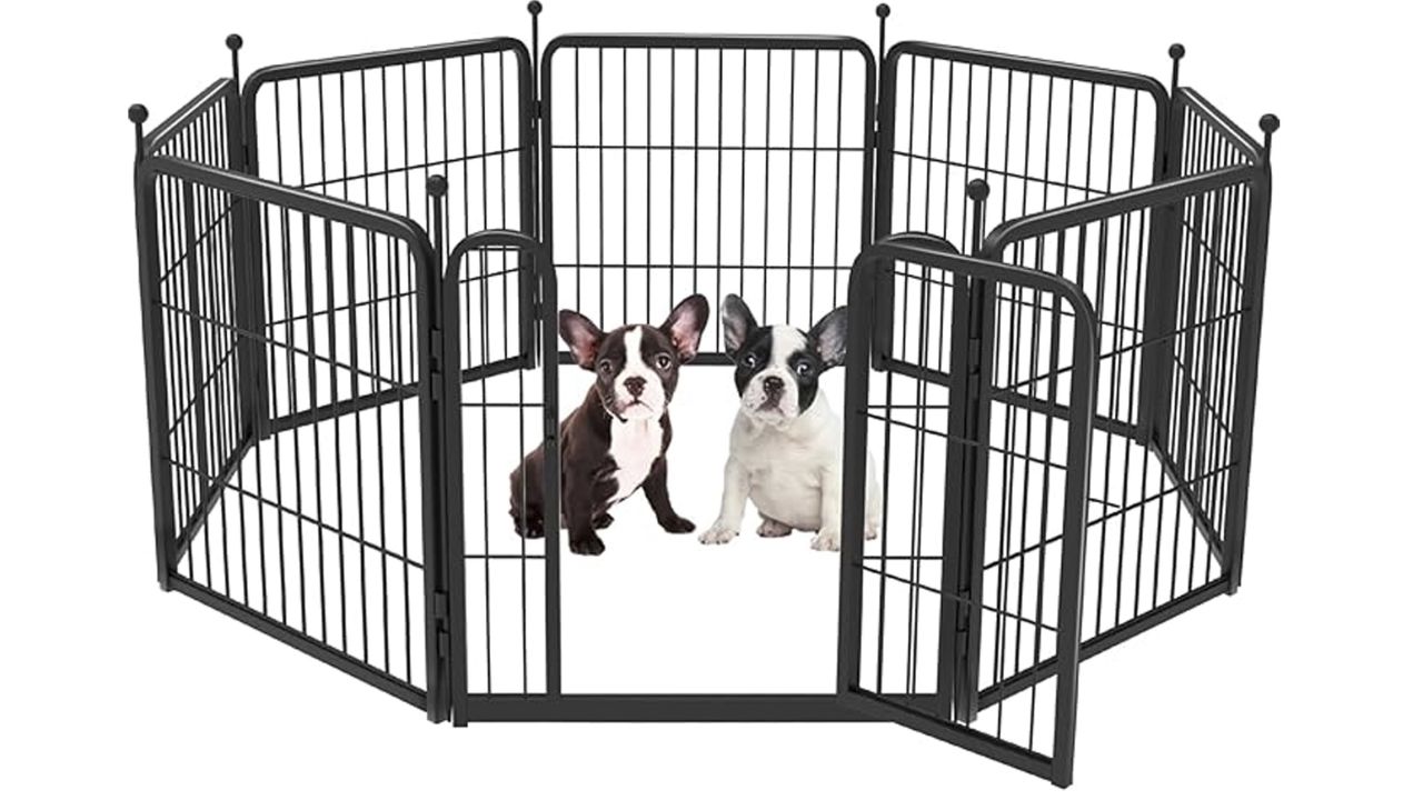 Fxw Rollick Dog Playpen.jpeg