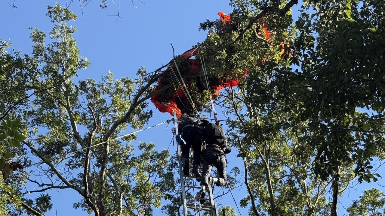 Firefighters free a skydiver caught in a tree after he became separated from an instructor during a tandem jump on Saturday in Nashville, Tennessee.