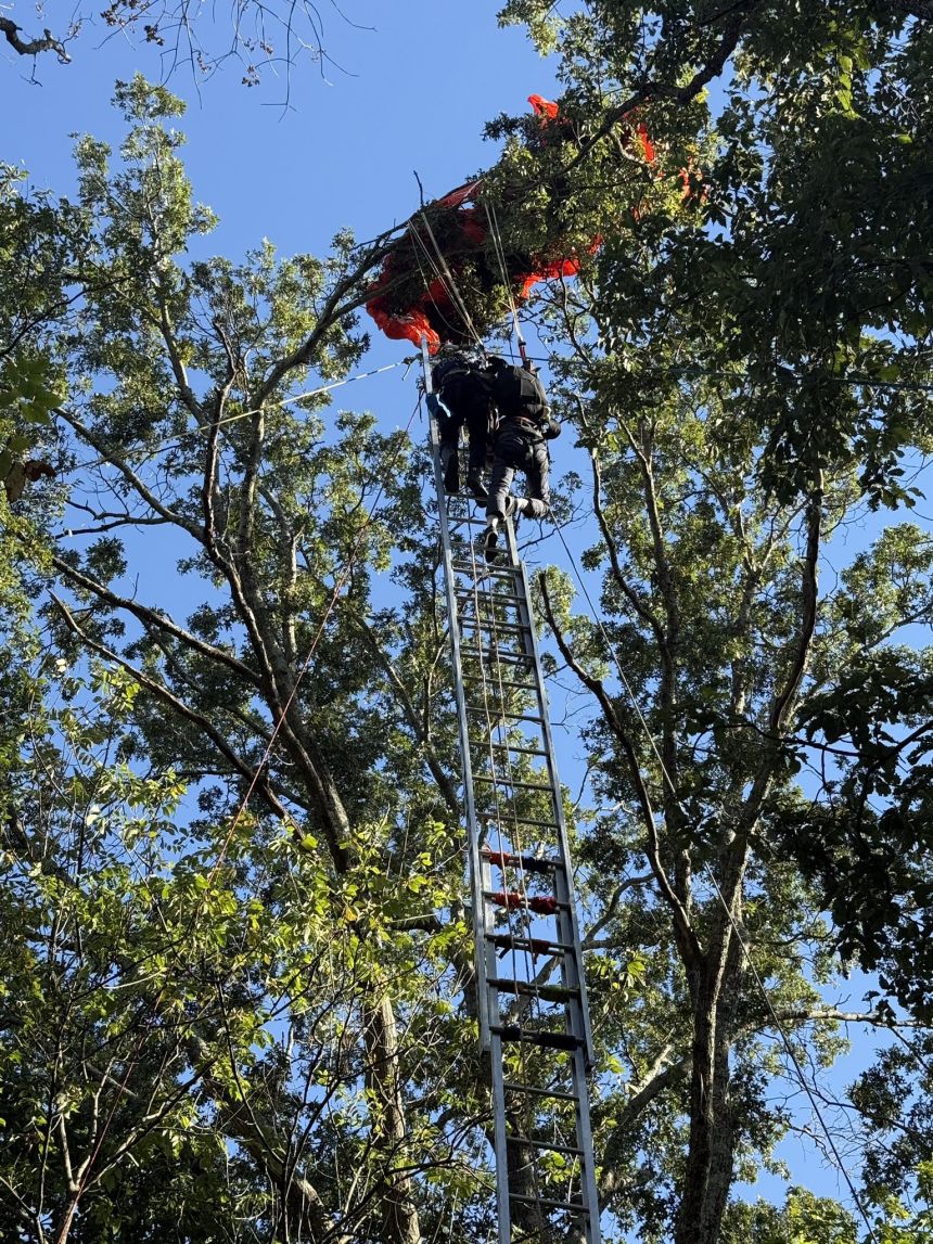 Firefighters free a skydiver caught in a tree after he became separated from an instructor during a tandem jump on Saturday in Nashville, Tennessee.