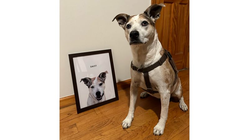 Personalized gifts hotsell with dogs