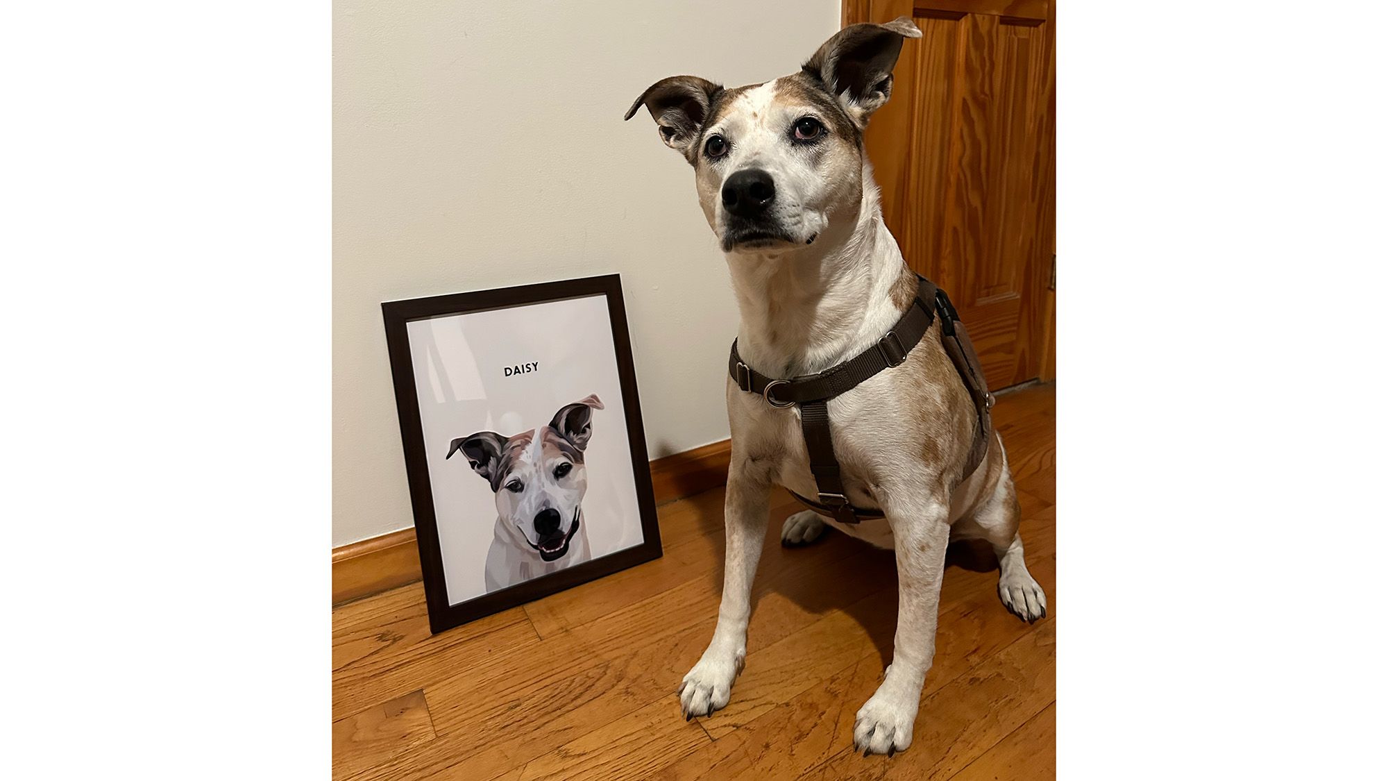 The 20 Best Custom Pet Gifts