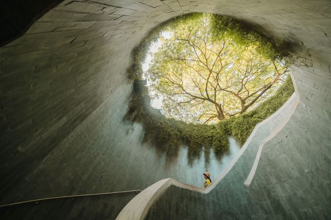 La imagen de Scott Antcliffe explora rincones ocultos de belleza natural en Singapur. El jurado calificó la foto como "impactante".
