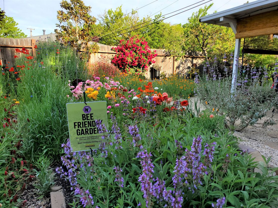 A "Bee Friendly Garden" sign from Pollinator Partnership. Planting a variety of native wildflowers draws butterflies, bees and other pollinators to your yard for food and shelter.