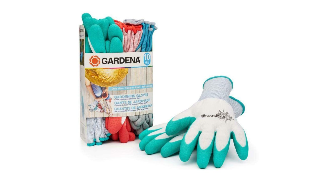 gardena latex gloves cnnu.jpg