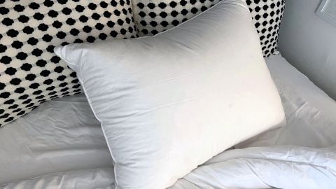 Garnet Hill Heirloom European White Goose Down Pillow