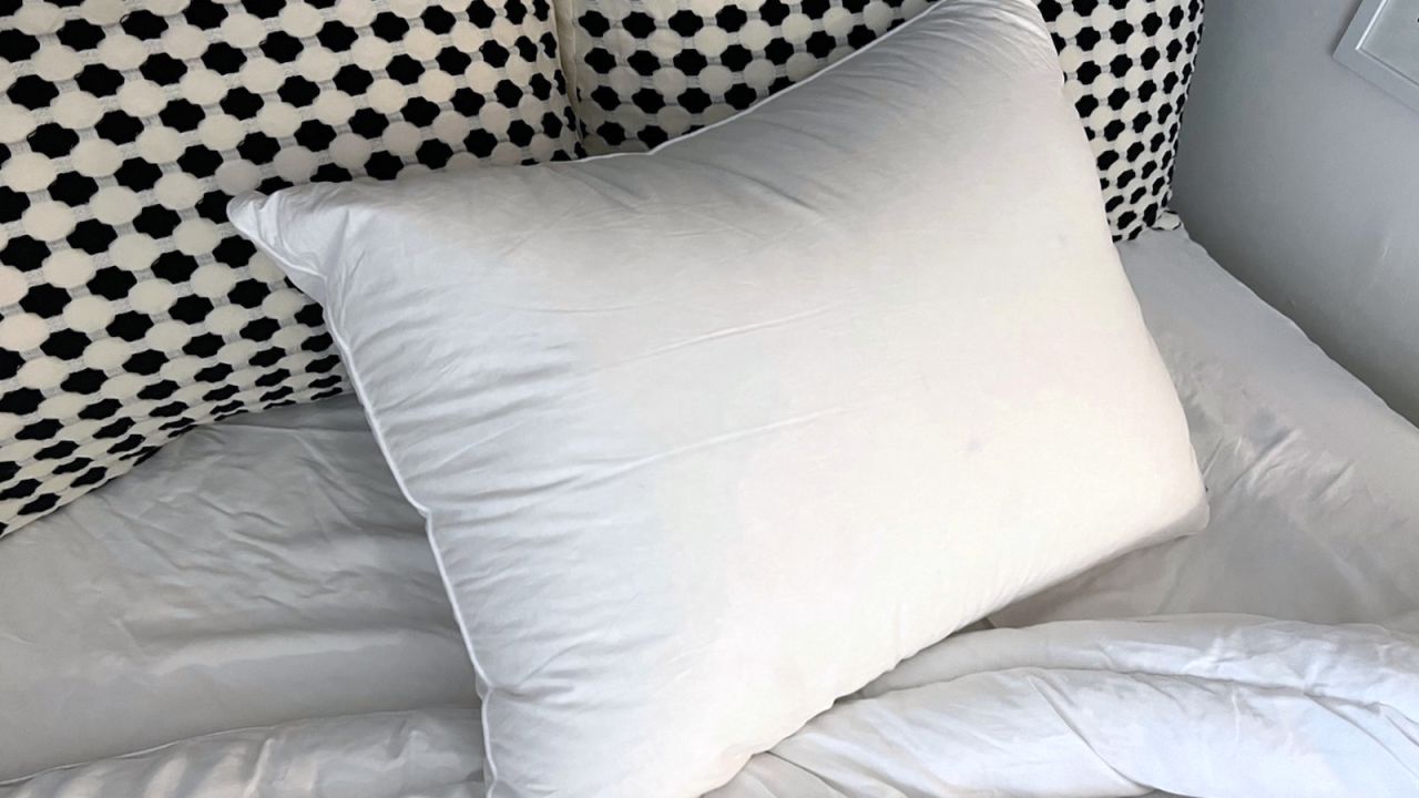 best-pillows garnet hill