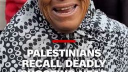 CNN spoke to multiple witnesses who recounted the deadly chaos that unfolded near a US-backed aid center in southern Gaza after more than 30 Palestinians were killed and dozens injured on Sunday, according to the Palestinian Ministry of Health.