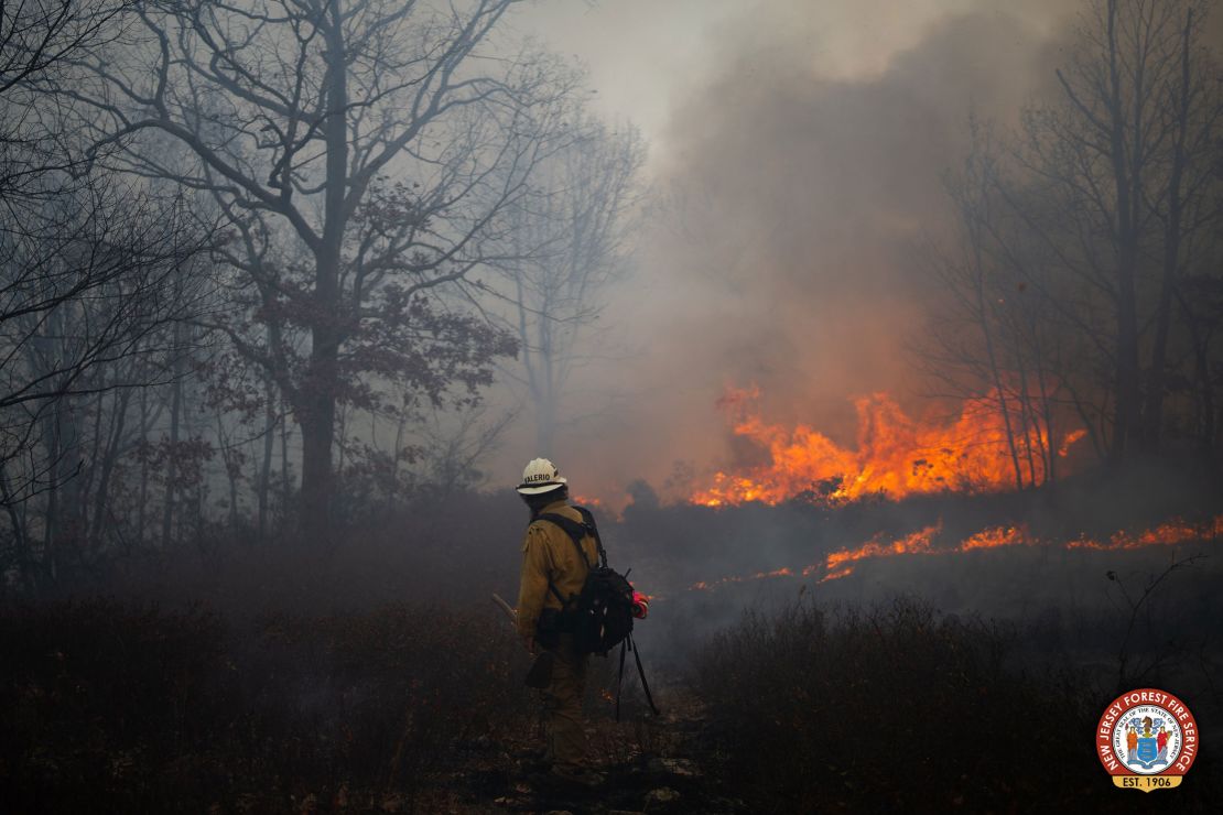 Firefighters in New Jersey have been battling a wave of wildfires.