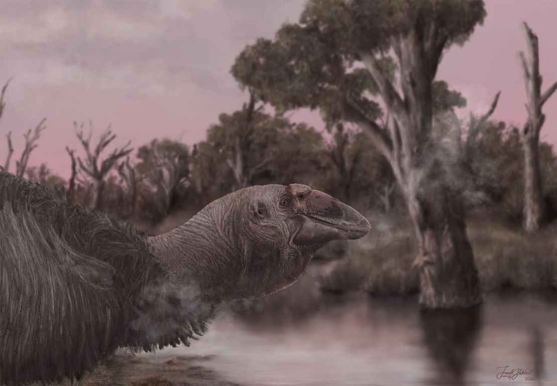 An artistic life reconstruction shows Genyornis newtoni, the last of the mihirungs, at the water’s edge.