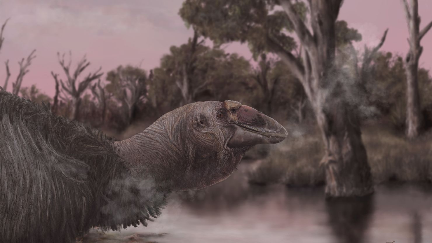 Uma reconstrução artística da vida mostra Genyornis newtoni, o último dos mihirungs, à beira da água.  Estas aves gigantes e incapazes de voar teriam vagado pelas florestas e pastagens da Austrália há 50 mil anos.