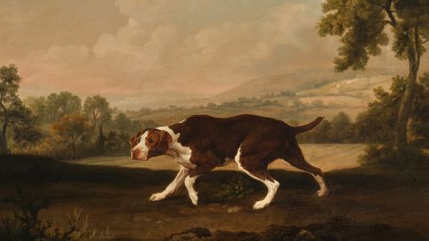 George Stubbs, The Spanish Pointer (esHmate: £1,500,000 – 2,000,000) This seminal pain2ng is the earliest and one of the most recognisable of all Stubbs’ depic2ons of dogs. Painted circa 1766-68, at the height of the ar2st’s career, it dates to the decade when Stubbs produced many of the pain2ngs for which he is most famous, including the Na2onal Gallery’s beloved Whistlejacket. The Spanish Pointer has only been exhibited once in the 250 years since it was painted and has only rarely appeared at auc2on.
