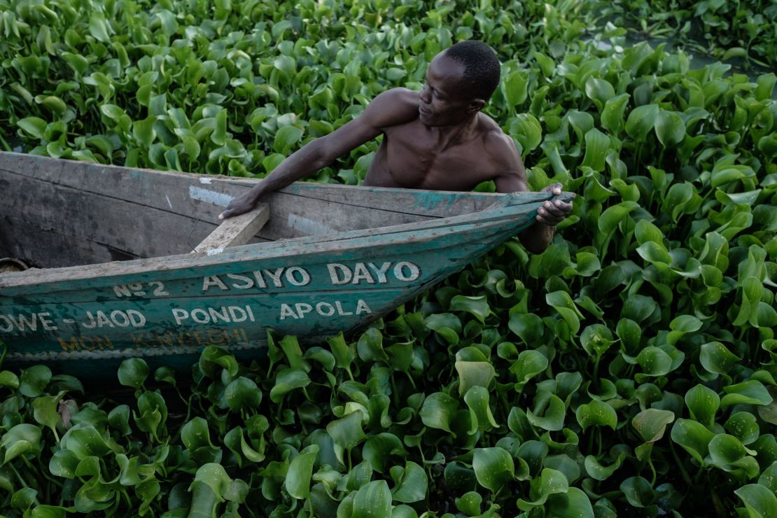 A 2018 image of a fisherman struggling to navigate through the waters of Lake Victoria, another lake in Kenya afflicted with water hyacinth.