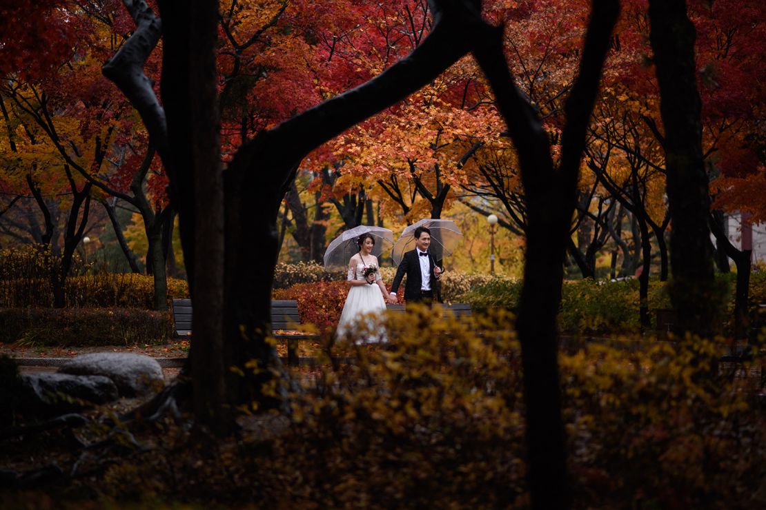 A couple poses for wedding photos in a park in Seoul on November 8, 2018.