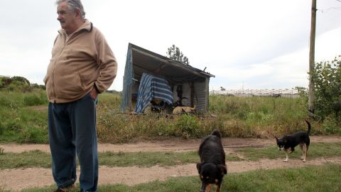 The presidential candidate of the Frente Amplio (Broad Front) party for November 29 run-off in Uruguay, Jose Mujica, photographed at his farm in Rincon del Cerro, Montevideo, November 27, 2009. Mujica leads in the opinion polls over his rival Alberto Lacalle, of the Partido Nacional party.  AFP PHOTO / Pable BIELLI (Photo credit should read PABLO BIELLI/AFP via Getty Images)