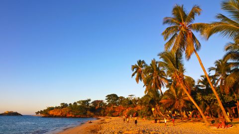 Palm trees on sandy beach of Andilana on Nosy Be, Madagascar, Indian Ocean, Africa