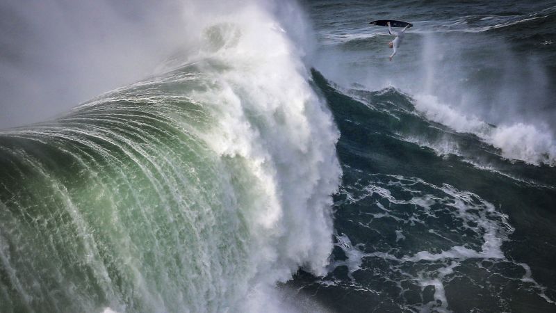 Защо сърфистът на големи вълни Себастиан Щудтнер се чувства най-спокоен от милостта на майката природа