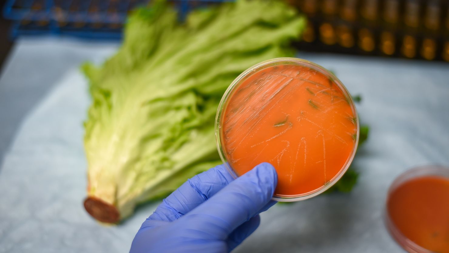 Listeria can grow in cold environments, even the refrigerator, experts say.