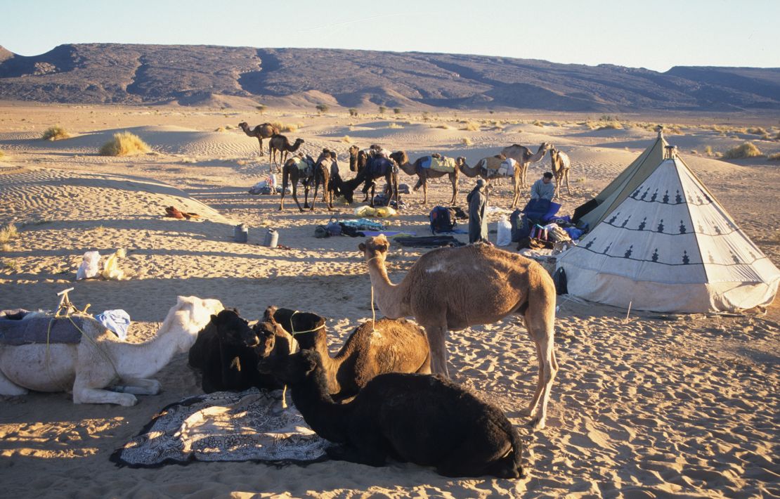 Morocco's Erg Chigaga desert hosts muti-day camel-trekking adventures.