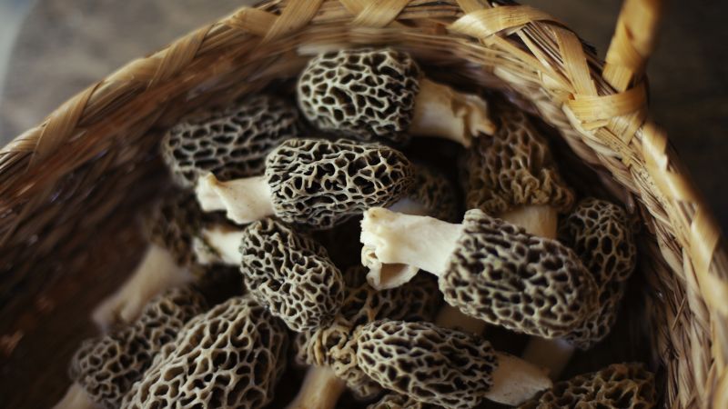 Deadly illness outbreak linked to morel mushrooms may have stemmed from preparation, CDC says | CNN