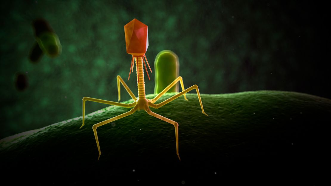 This illustration of a bacteriophage shows its tripod-like form that mimics a tiny robot.