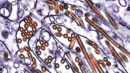 Even if it is moving through the air, experts say, that doesn’t necessarily make bird flu a bigger threat to people.