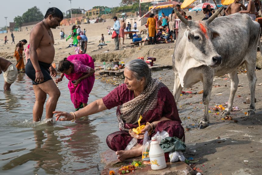 A woman prepares floral arrangements for prayer next to cow on the banks of the Ganges River, in Varanasi, India, on May 18, 2018.