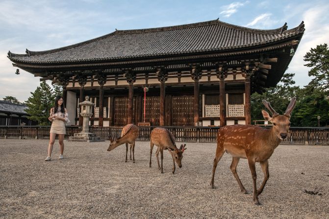 <strong>Kansai, Japan: </strong>This region of central Japan includes Nara, the UNESCO-listed heritage city home to tame deer.