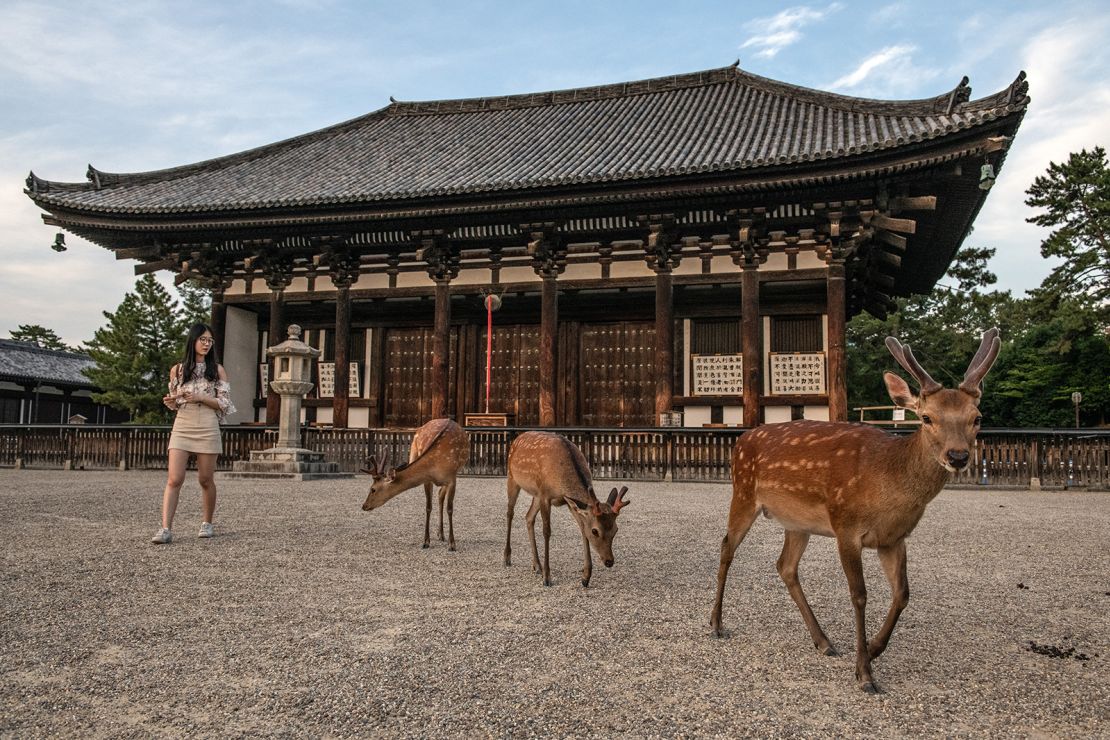 Deer walk past a historic temple in Nara.