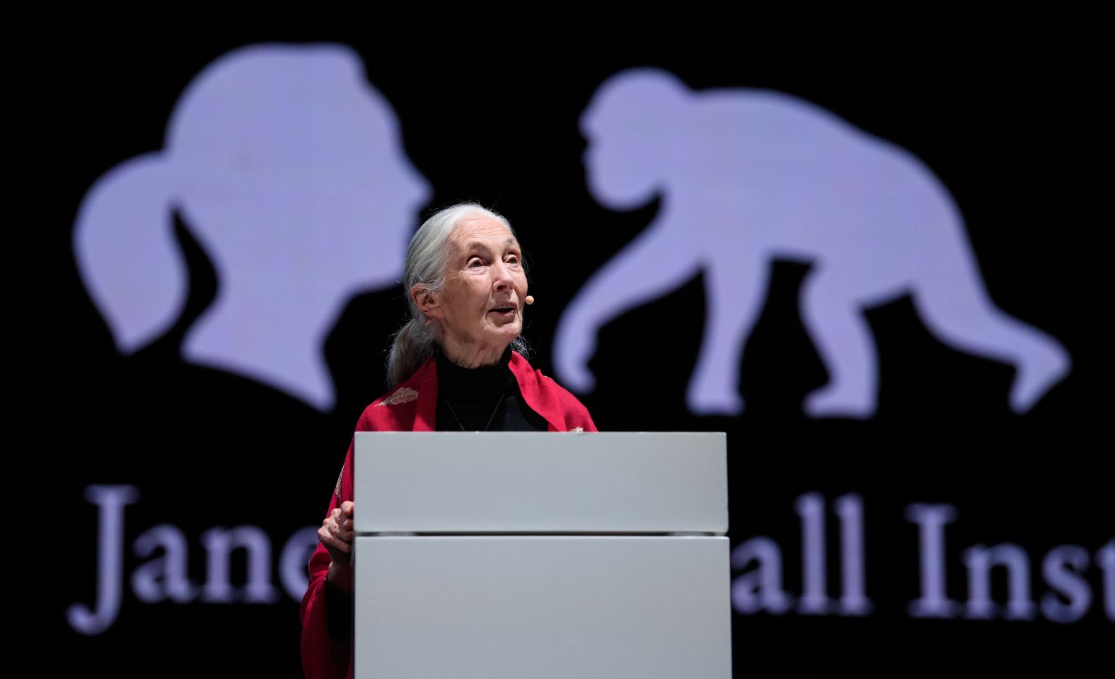 Goodall gives a lecture, "Reasons for Hope," while in Munich, Germany, in 2019.