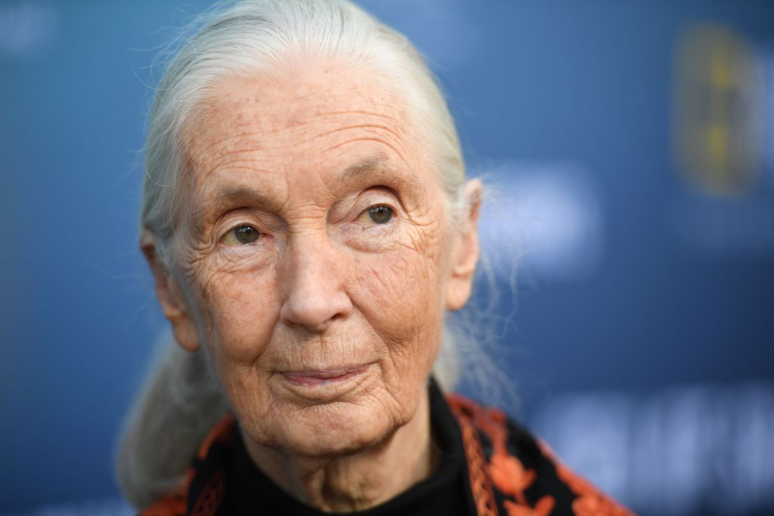 La primatologa britannica Jane Goodall, nella foto mentre partecipa a un evento a Los Angeles nel luglio 2019.