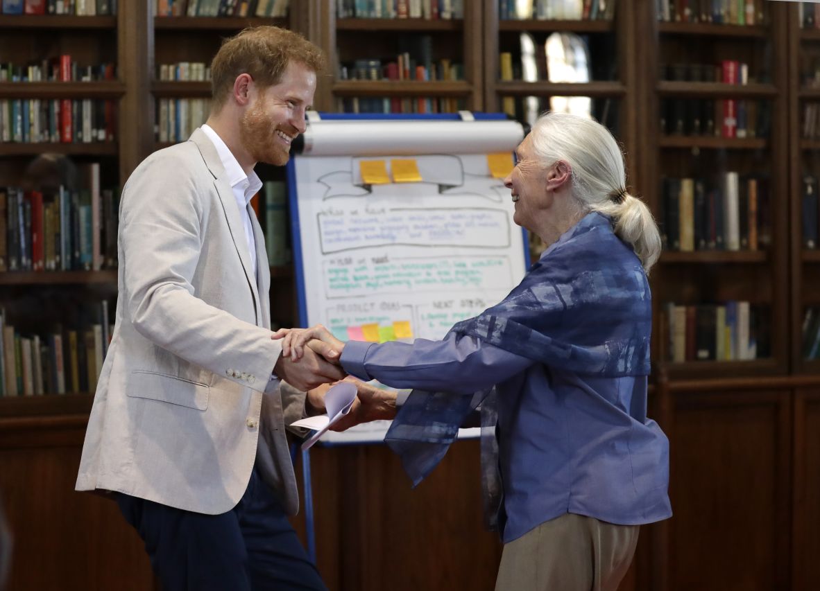 Britain's Prince Harry holds Goodall's hands as he attends a Roots & Shoots global leadership meeting at Windsor Castle in England in 2019.