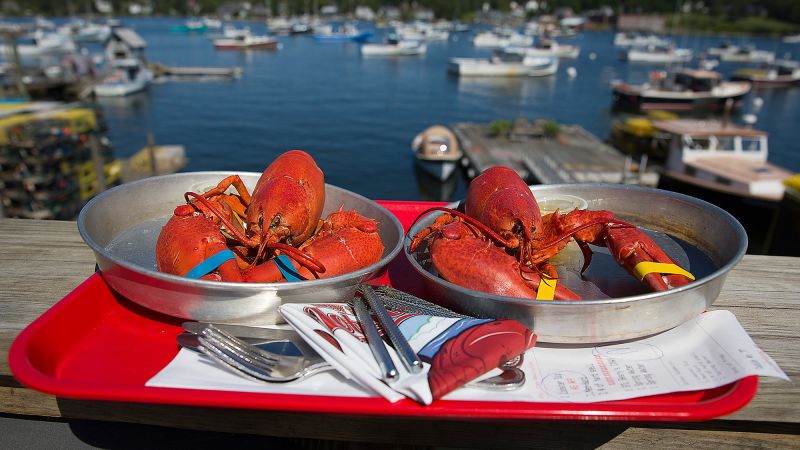 Virtual lobster museum gives visitors a pinch of Maine