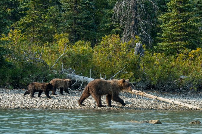 <strong>3. Lake Clark National Park & Preserve: </strong>Covering 4 million acres on the Alaska Peninsula in southwest Alaska, this park is one of the most remote in the US.