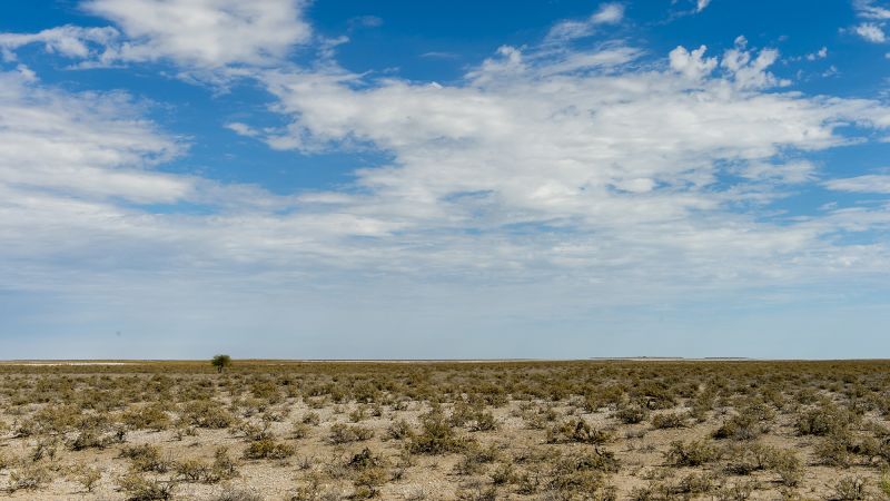 Namibia sends in army to fight devastating wildfire in Etosha game reserve