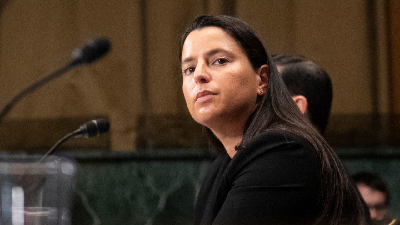 Loren AliKhan, Deputy Solicitor General for the District of Columbia, is seen during a Senate Judiciary Committee hearing in Washington, DC,  on February 25, 2020.