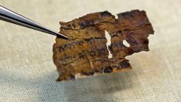 A conservator of the Israel Antiquities Authority (IAA) shows fragments of the Dead Sea Scrolls at their laboratory in Jerusalem on June 2, 2020. - DNA research on the Dead Sea Scrolls has revealed not all of the ancient manuscripts came from the desert landscape where they were discovered, according to a study published today. Numbering around 900, the manuscripts were found between 1947 and 1956 in the Qumran caves above the Dead Sea in the West Bank. The parchment and papyrus scrolls contain Hebrew, Greek and Aramaic and include some of the earliest-known texts from the Bible, including the oldest surviving copy of the Ten Commandments. Research on the texts has been ongoing for decades and in the latest study, DNA tests on manuscript fragments indicate that some were not originally from the area around the caves. (Photo by MENAHEM KAHANA / AFP) (Photo by MENAHEM KAHANA/AFP via Getty Images)