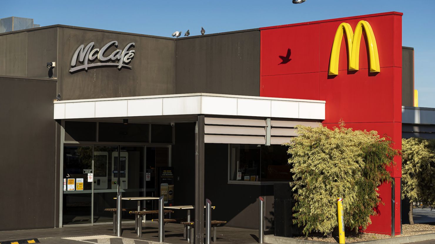 McDonald’s shortens breakfast time in Australia as bird flu causes egg shortage