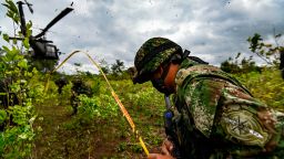 Colombian soldiers take part in an operation to eradicate illicit crops in Tumaco, Narino Department, Colombia on December 30, 2020.