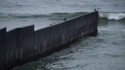 Birds stand on top of the border wall as it ends in the Pacific Ocean along the US-Mexico border between San Diego and Tijuana on May 10, 2021 at International Friendship Park in San Diego County, California. - Few issues have as long a history of bedeviling both Democrats and Republicans as immigration and asylum on the approximately 2,000-mile (3,000-kilometer) US-Mexico frontier. (Photo by Patrick T. FALLON / AFP) (Photo by PATRICK T. FALLON/AFP via Getty Images)