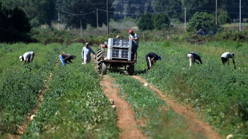 Смъртта на индийски земеделски работник в Италия предизвика възмущение